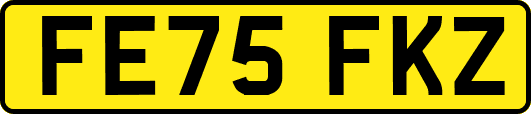 FE75FKZ