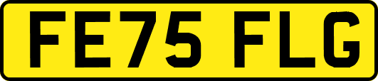 FE75FLG