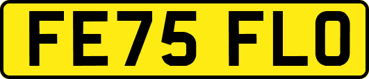 FE75FLO