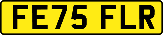 FE75FLR
