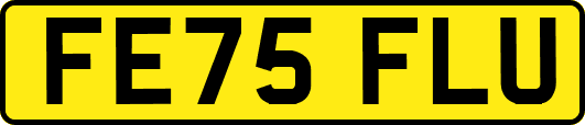 FE75FLU