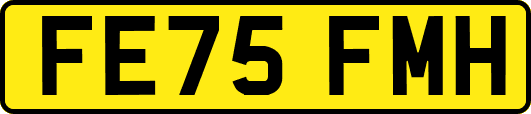 FE75FMH