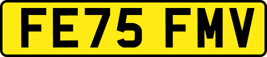 FE75FMV