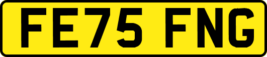 FE75FNG