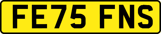 FE75FNS