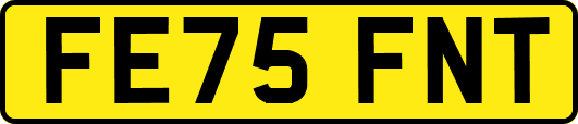 FE75FNT
