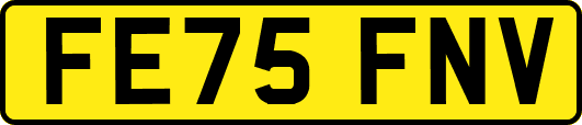 FE75FNV