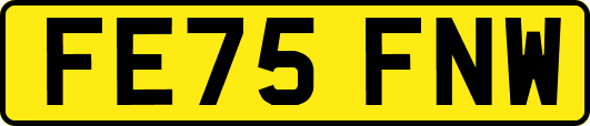 FE75FNW