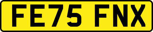 FE75FNX