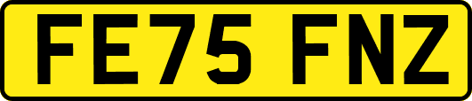 FE75FNZ