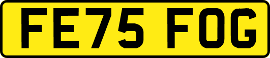 FE75FOG