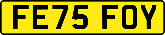 FE75FOY
