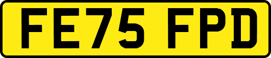FE75FPD