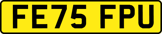 FE75FPU