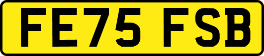 FE75FSB
