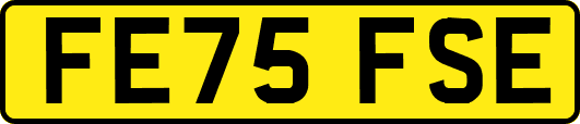 FE75FSE