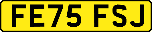 FE75FSJ