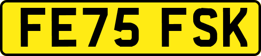 FE75FSK