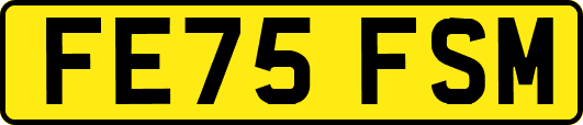 FE75FSM