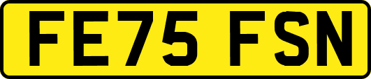 FE75FSN
