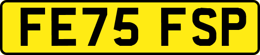 FE75FSP