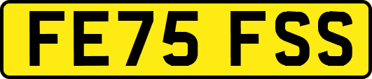 FE75FSS