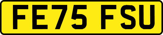 FE75FSU