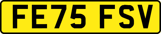 FE75FSV