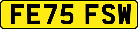 FE75FSW
