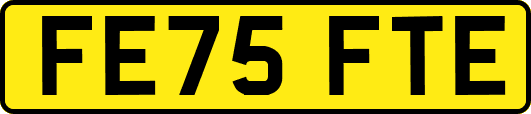 FE75FTE