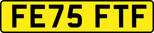 FE75FTF