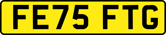 FE75FTG
