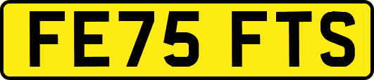 FE75FTS