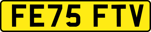 FE75FTV