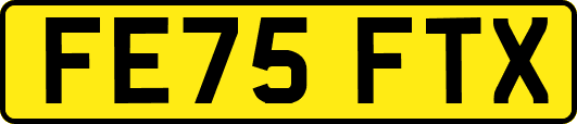 FE75FTX