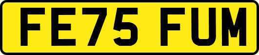 FE75FUM