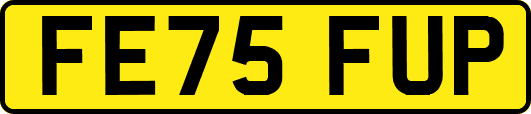 FE75FUP