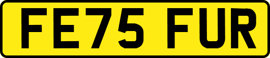 FE75FUR