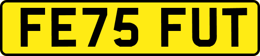 FE75FUT