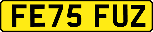 FE75FUZ