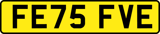 FE75FVE