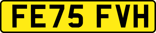FE75FVH