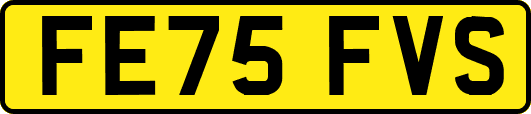 FE75FVS