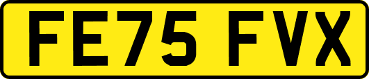 FE75FVX