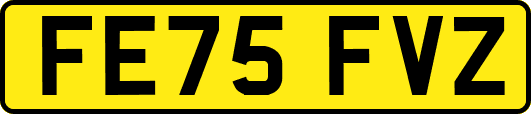 FE75FVZ