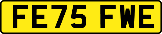 FE75FWE