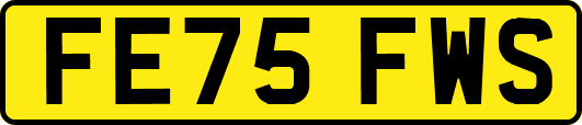 FE75FWS