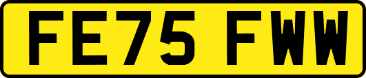 FE75FWW