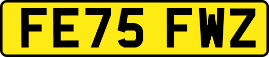 FE75FWZ