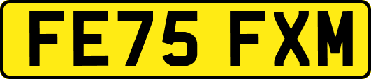 FE75FXM
